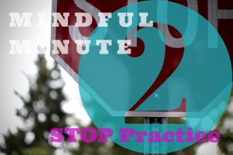 Mindful Minute 2-Minute STOP