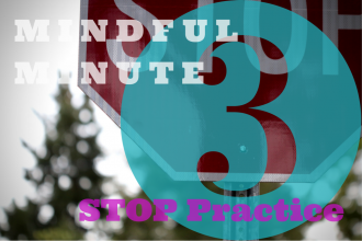 Mindful Minute 3-Minute STOP